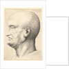 Head of a bald man in profile to left, 1644-52 by Wenceslaus Hollar