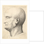 Head of a bald man in profile to left, 1644-52 by Wenceslaus Hollar