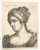 Bust of a woman looking downwards towards left with elaborately decorated hair, 1648 by Wenceslaus Hollar