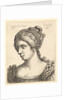 Bust of a woman looking downwards towards left with elaborately decorated hair, 1648 by Wenceslaus Hollar