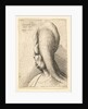 Bust of a deformed old woman with one tooth, facing left, 1665 by Wenceslaus Hollar