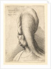 Bust of a deformed old woman with one tooth, facing left, 1665 by Wenceslaus Hollar