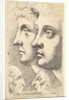 Two youths in profile to left with two grotesque heads facing each other below, 1625-77 by Wenceslaus Hollar