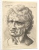Head of a man with serious expression, 1625-77 by Wenceslaus Hollar