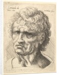 Head of a man with serious expression, 1625-77 by Wenceslaus Hollar