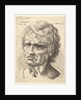 Head of a man with serious expression, 1625-77 by Wenceslaus Hollar