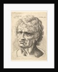 Head of a man with serious expression, 1625-77 by Wenceslaus Hollar