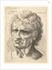Head of a man with serious expression, 1625-77 by Wenceslaus Hollar