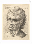 Head of a man with serious expression, 1625-77 by Wenceslaus Hollar