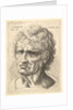 Head of a man with serious expression, 1625-77 by Wenceslaus Hollar