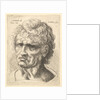 Head of a man with serious expression, 1625-77 by Wenceslaus Hollar