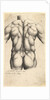 Naked male torso seen from behind, 1645 by Wenceslaus Hollar