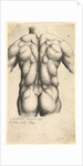 Naked male torso seen from behind, 1645 by Wenceslaus Hollar