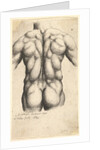 Naked male torso seen from behind, 1645 by Wenceslaus Hollar