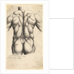 Naked male torso seen from behind, 1645 by Wenceslaus Hollar
