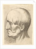 Male head in profile to left with muscles exposed, 1660 by Wenceslaus Hollar