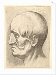 Male head in profile to left with muscles exposed, 1660 by Wenceslaus Hollar