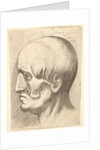 Male head in profile to left with muscles exposed, 1660 by Wenceslaus Hollar