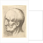 Male head in profile to left with muscles exposed, 1660 by Wenceslaus Hollar