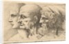 Row of three heads in profile to left, 1645 by Wenceslaus Hollar
