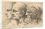 Row of three heads in profile to left, 1645 by Wenceslaus Hollar
