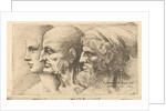 Row of three heads in profile to left, 1645 by Wenceslaus Hollar