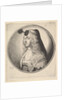 Woman with houpette on forehead turned to left, 1643 by Wenceslaus Hollar