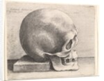 Skull in profile to right, 1645 by Wenceslaus Hollar