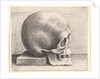 Skull in profile to right, 1645 by Wenceslaus Hollar