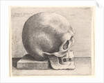 Skull in profile to right, 1645 by Wenceslaus Hollar