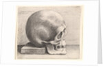 Skull in profile to right, 1645 by Wenceslaus Hollar