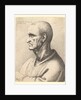 Man with stern expression in profile to left, 1645 by Wenceslaus Hollar