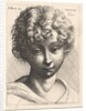 Head of a young girl, 1645 by Wenceslaus Hollar