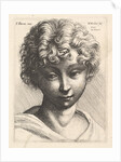 Head of a young girl, 1645 by Wenceslaus Hollar