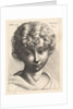 Head of a young girl, 1645 by Wenceslaus Hollar