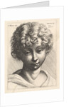 Head of a young girl, 1645 by Wenceslaus Hollar