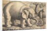 Elephant and Camel, 17th century by Wenceslaus Hollar