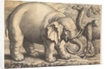Elephant and Camel, 17th century by Wenceslaus Hollar