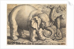 Elephant and Camel, 17th century by Wenceslaus Hollar