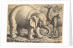 Elephant and Camel, 17th century by Wenceslaus Hollar