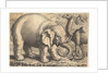 Elephant and Camel, 17th century by Wenceslaus Hollar