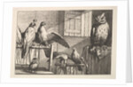 Hawks and owls, 1625-77 by Wenceslaus Hollar