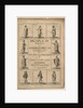 Title page: Decapla in Psalmos, 1639 by Wenceslaus Hollar