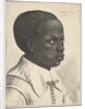Head of a young black boy in profile to right, 1645 by Wenceslaus Hollar