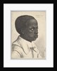 Head of a young black boy in profile to right, 1645 by Wenceslaus Hollar