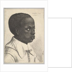 Head of a young black boy in profile to right, 1645 by Wenceslaus Hollar