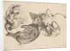 Boar, deer, heron and other game, 1625-77 by Wenceslaus Hollar
