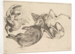 Boar, deer, heron and other game, 1625-77 by Wenceslaus Hollar