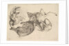 Boar, deer, heron and other game, 1625-77 by Wenceslaus Hollar