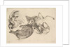 Boar, deer, heron and other game, 1625-77 by Wenceslaus Hollar